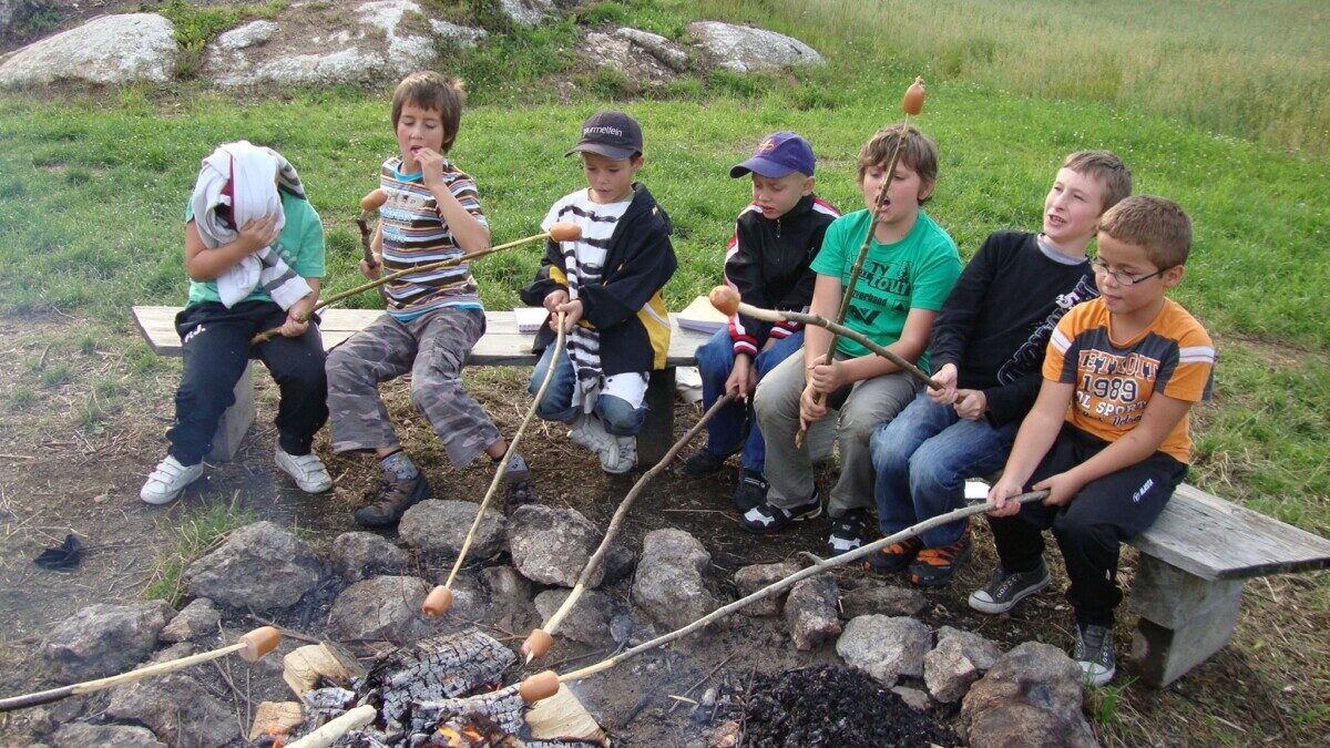 WiWö SoLa 2011 in Liebenau im Mühlkreis